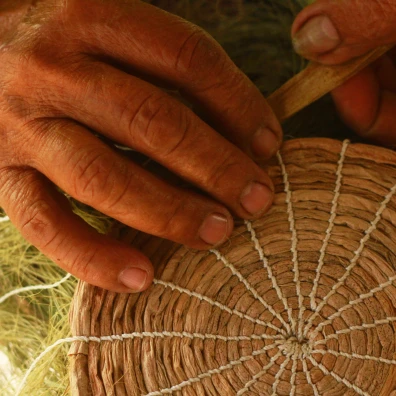 The game with our new additions!